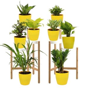 0S: Leafy Tales Set of 8 Air Purifying Plants Combo- Areca Palm, Sansevieria Green, Golden, Green & White Money Plant, Plant, ZZ Plant, Jade and Dwarf Syngonium, Yellow Plastic Pot